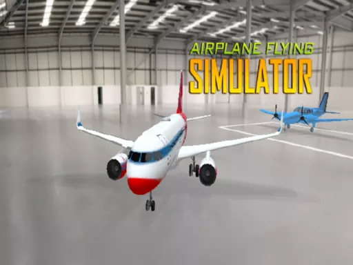 Airplane Flying Simulator
