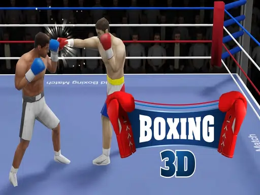 Boxing 3D
