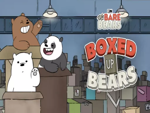 Cartoon Network We Bare Bears Boxed Up Bears