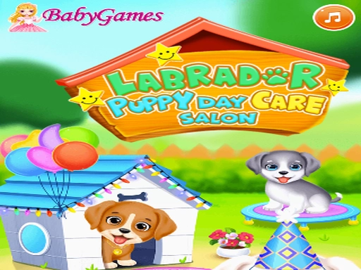 Labrador Puppy Daycare Salon