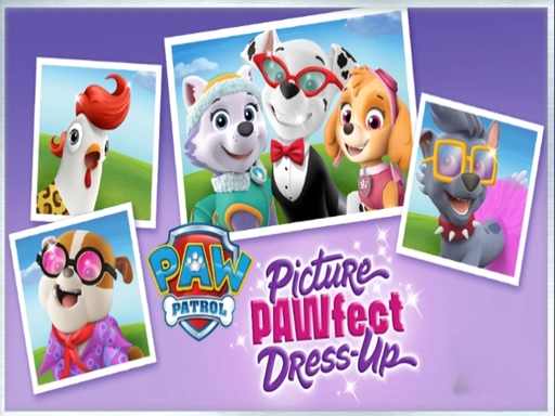 Paw Patrol Picture PAWfect Dress-Up