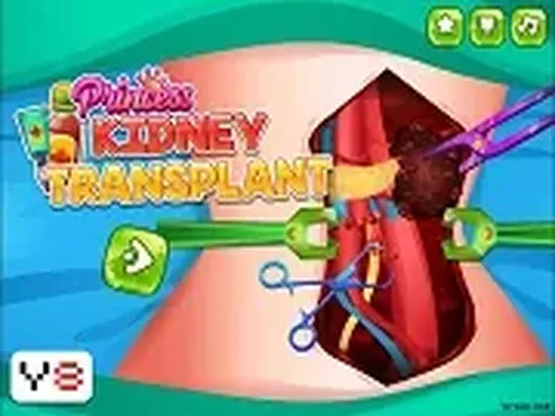 Princess Kidney Transplant