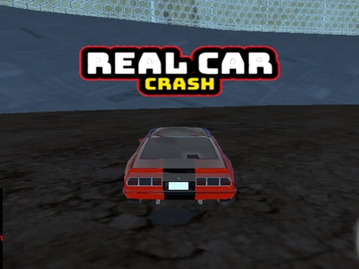 Real Car Crash