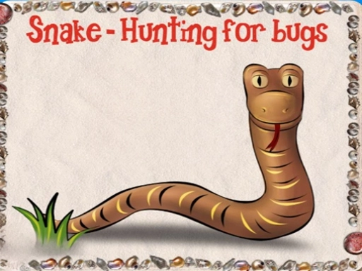 Snake - Hunting For Bugs