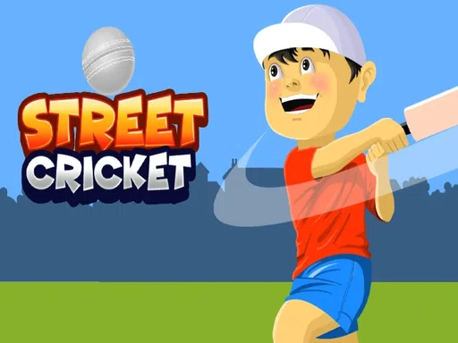 Street Cricket