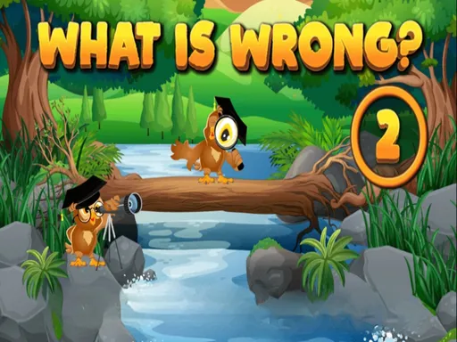 What Is Wrong? 2